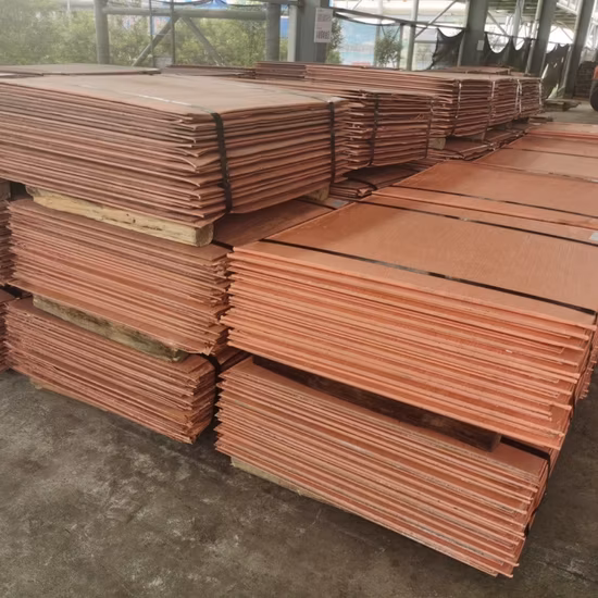 Hojas Serie más vendida Proveedor Venta al por mayor Placas de cátodos de cobre de alta calidad 99.99% Placa de cobre de cátodos de cobre